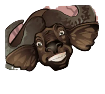 Buffel